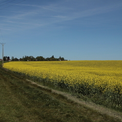 Balade à Martagny